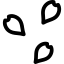 Nombre de pétales