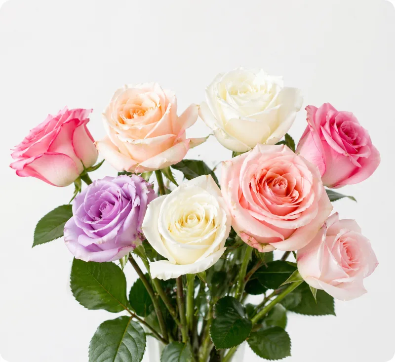 Roses
