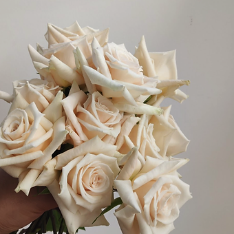 Champagne - miniature 4