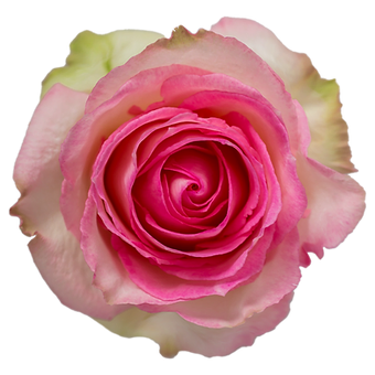 Esperance
