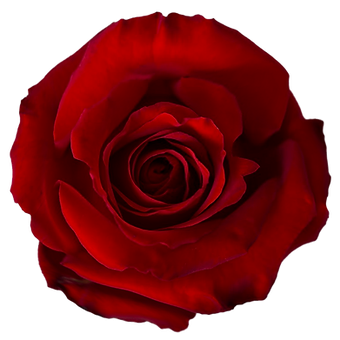 Red France