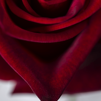 Black Magic - miniature 4