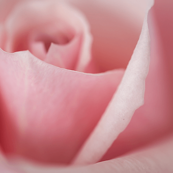 Sweet Escimo - miniature 4