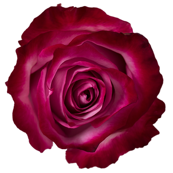 Deep Purple