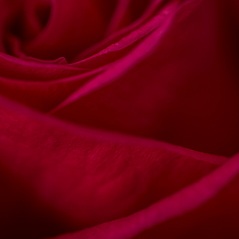 Cherry O! - miniature 4