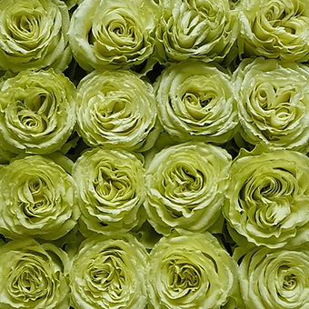 Lemonade - miniature 4