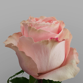 Princess Crown - miniature 3