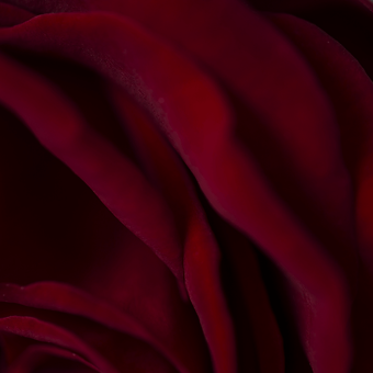 Hearts - miniature 4