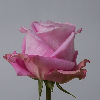 Sweet 4 Love - miniature 3