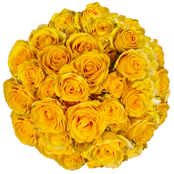Golden Blossoms
