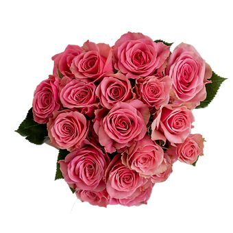 Deep Pink Jewel