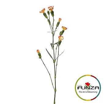 Lala 23580 - miniature 3