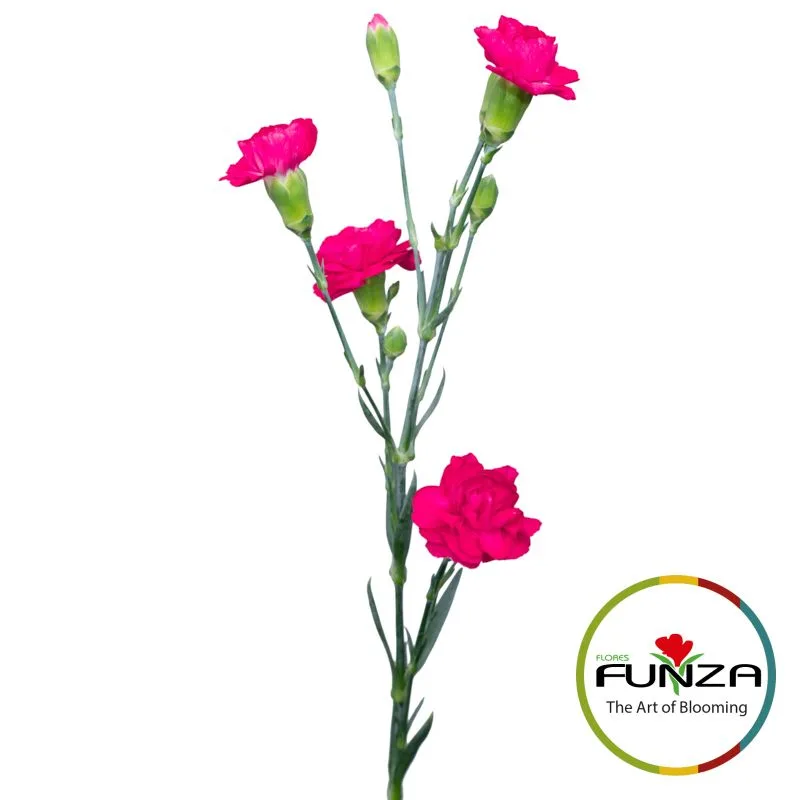Fleming - miniature 3