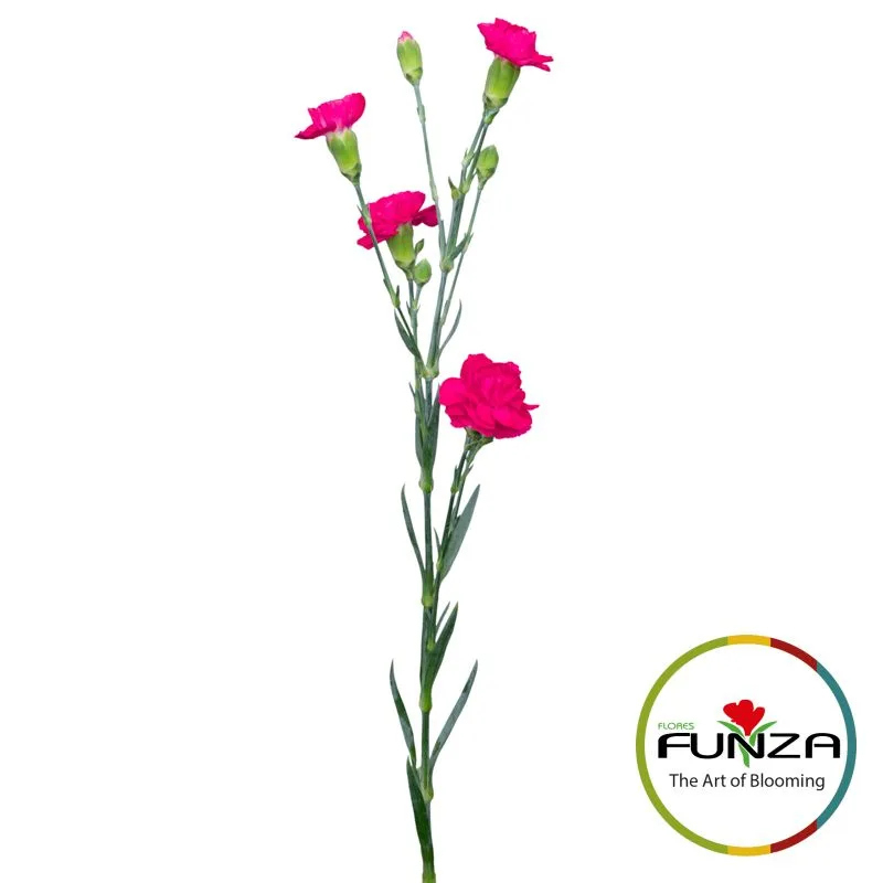 Fleming - miniature 4
