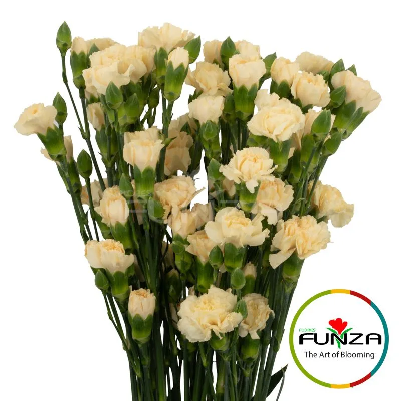 Creme Intermezzo