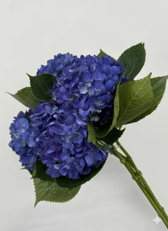 Shocking Dark Blue