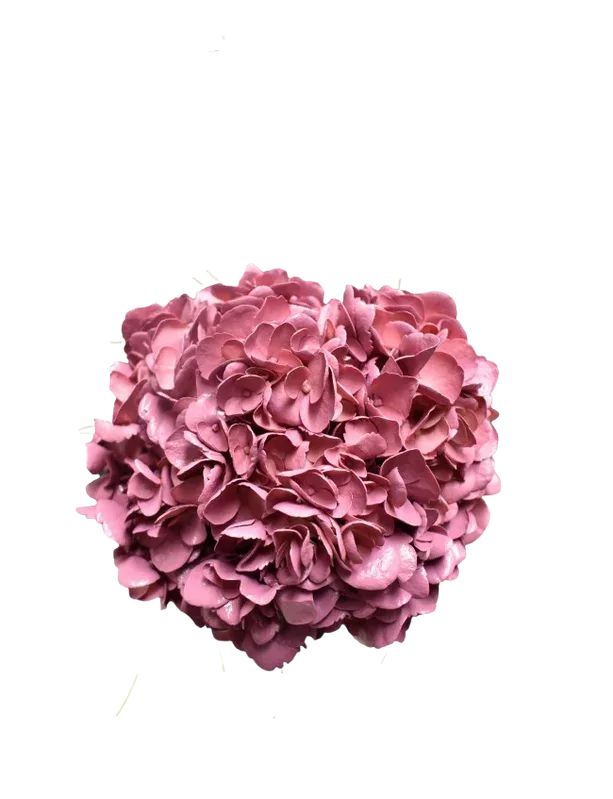 Old Pink