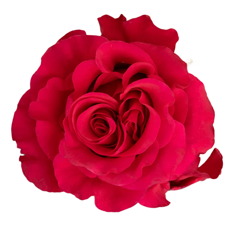 Exotix Berry